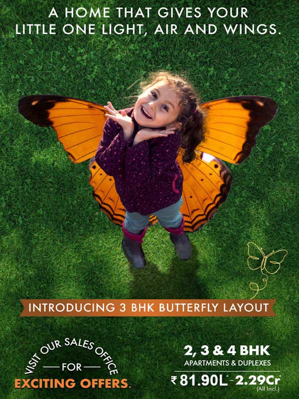 Gera's Island Of Joy Phase 3