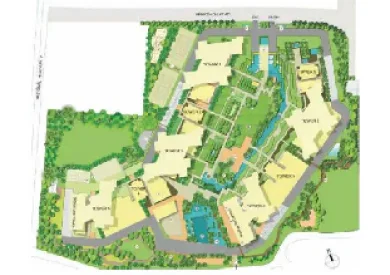 Gera Joy On Tree Tops